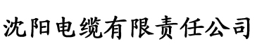 日韩论理片在线电缆厂logo